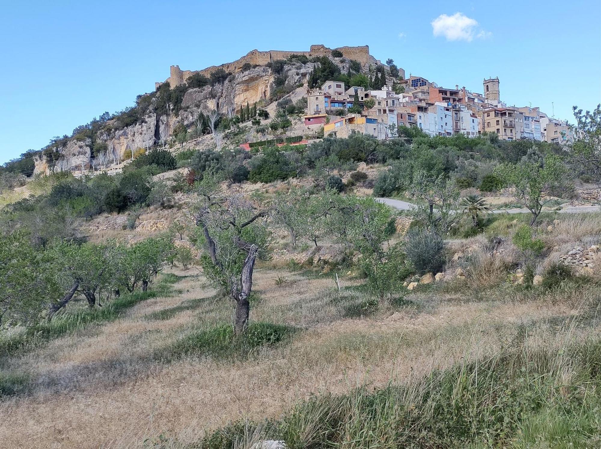 Tranquil And Spacious Townhouse In Historical And Picturesque Cervera Del Maestre ภายนอก รูปภาพ